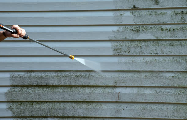 Best Driveway Pressure Washing  in Augusta, AR